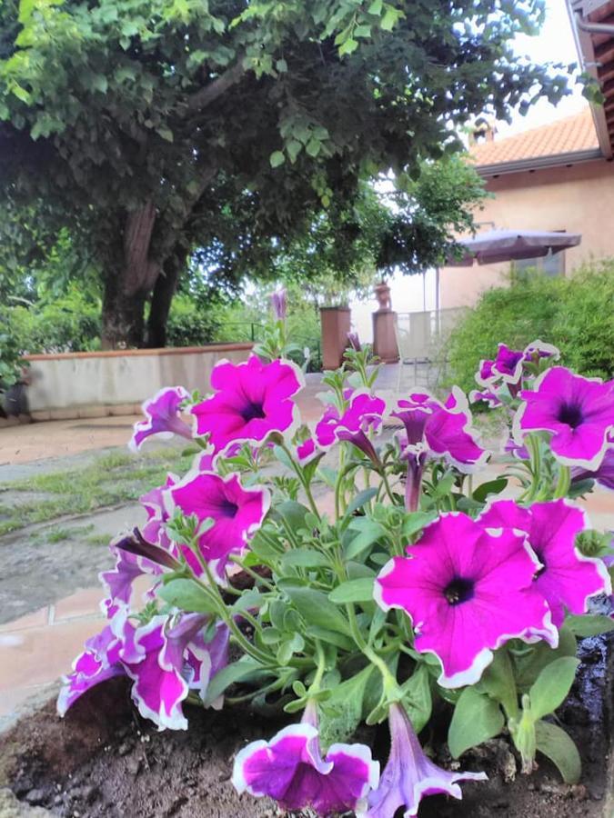 זפראנה אטניאה La Corte Di Bafe B&B "Slow Life" מראה חיצוני תמונה